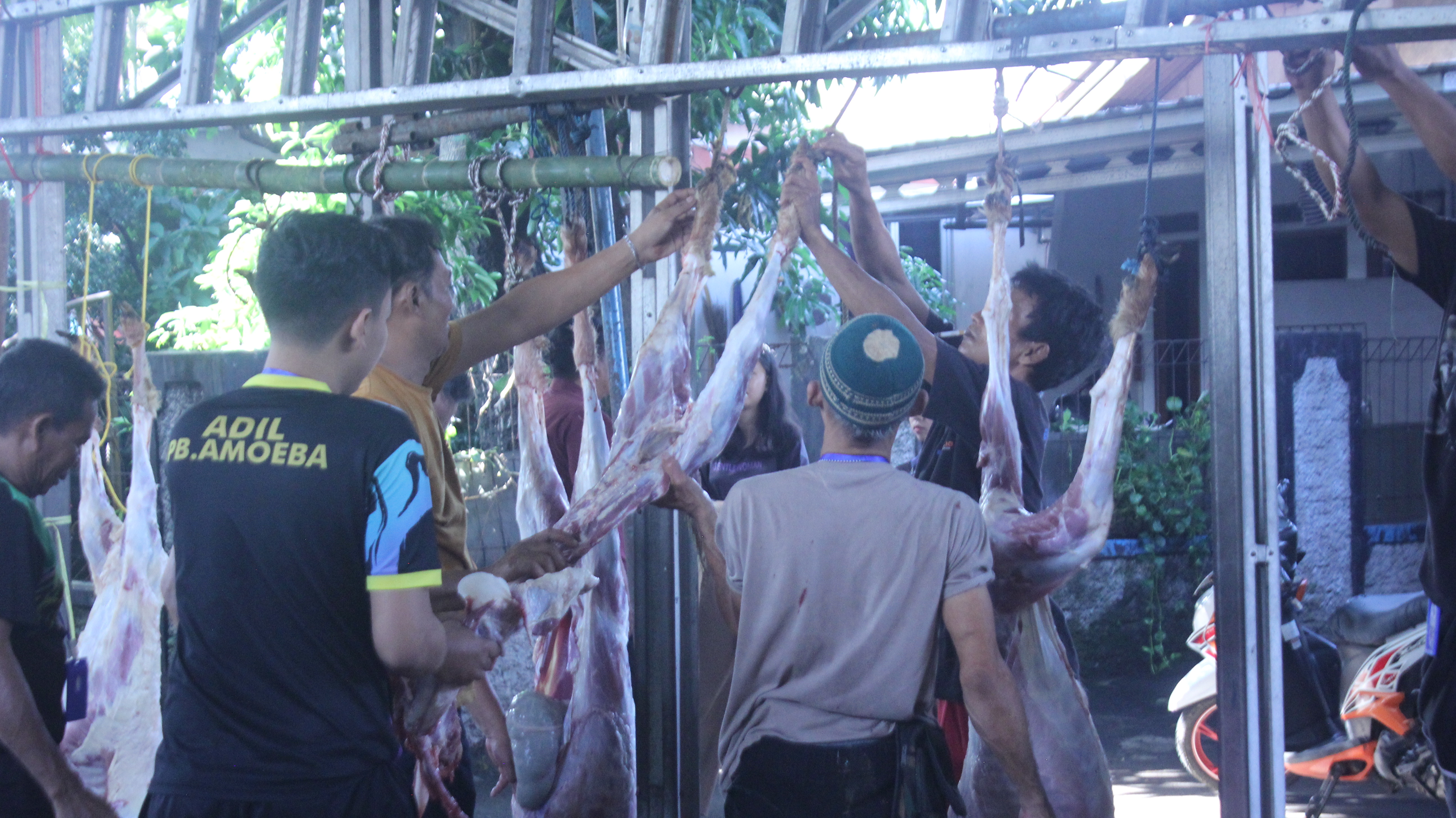 Penyembelihan dan penanganan daging qurban bersama para panitia